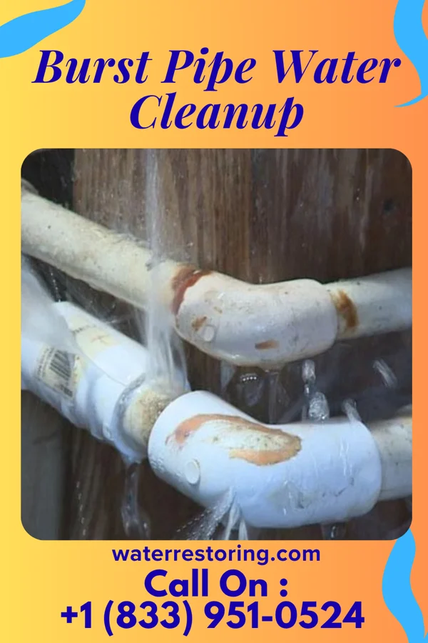 Burst Pipe Water Cleanup in Jessup, PA