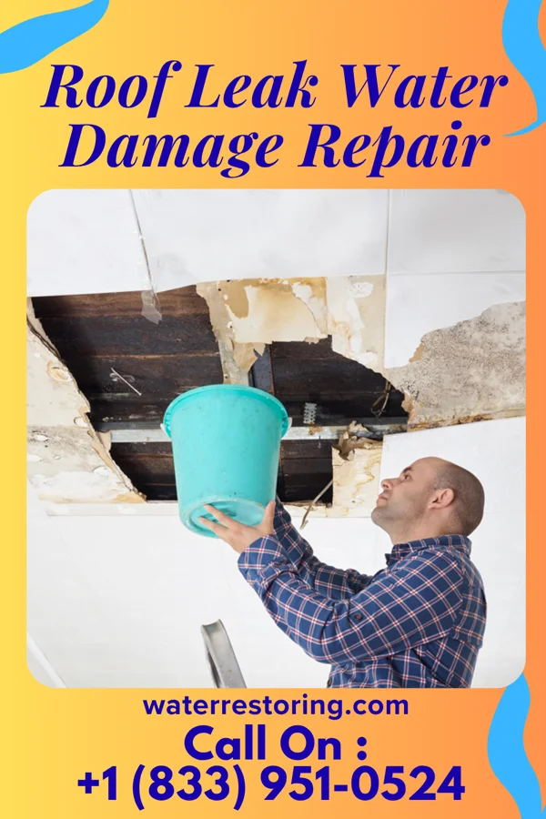Roof Leak Water Damage Repair in Jessup, PA