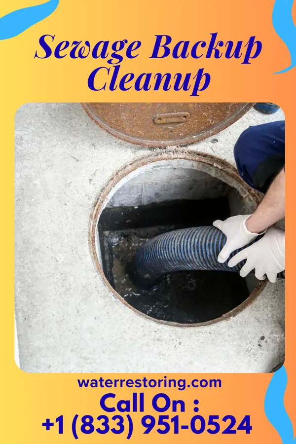 Sewage Backup Cleanup in Jessup, PA