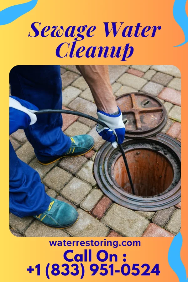 Sewage Water Cleanup in Jessup, PA