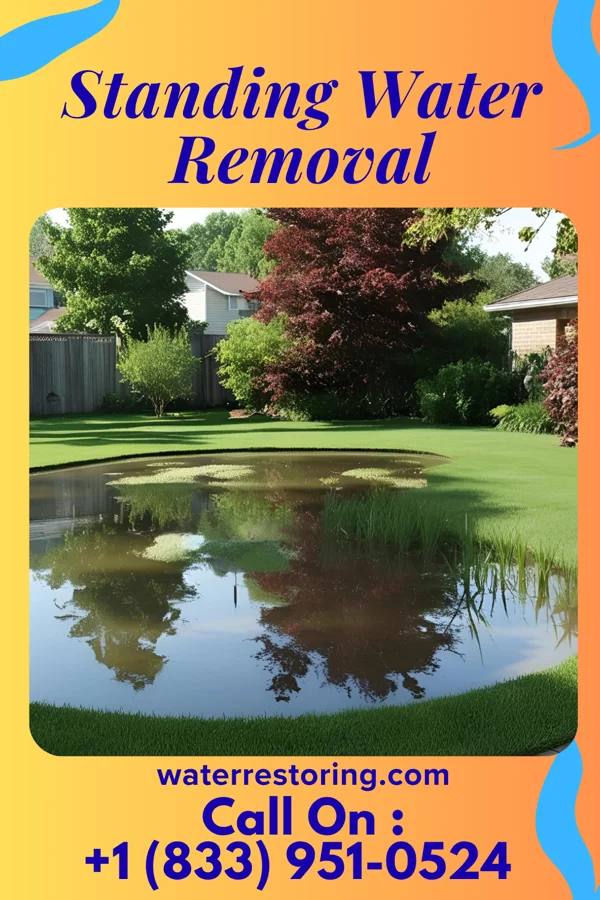 Standing Water Removal in Jessup, PA